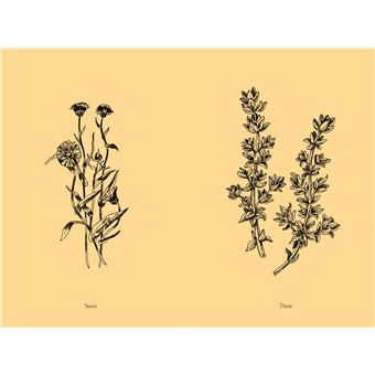 Jardin secret d'une sorcière