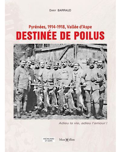 Pyrénées, 1914-1918, Vallée d'Aspe