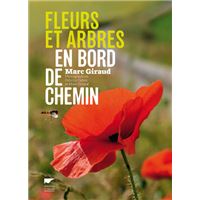Fleurs et arbres en bord de chemin