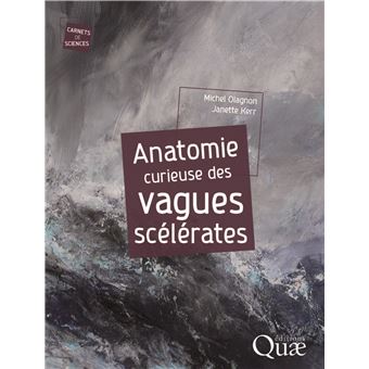 Anatomie curieuse des vagues scélérates - 1