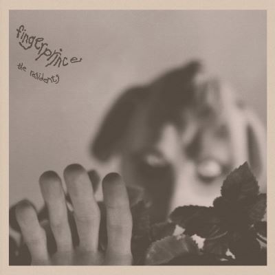 Fingerprince/digisleeve