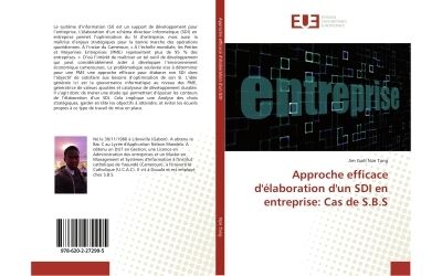 Approche efficace d'elaboration d'un sdi en entreprise: cas