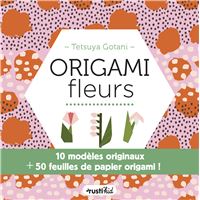 L'origami : 100 feuilles détachables - Lucy Bowman - Babelio