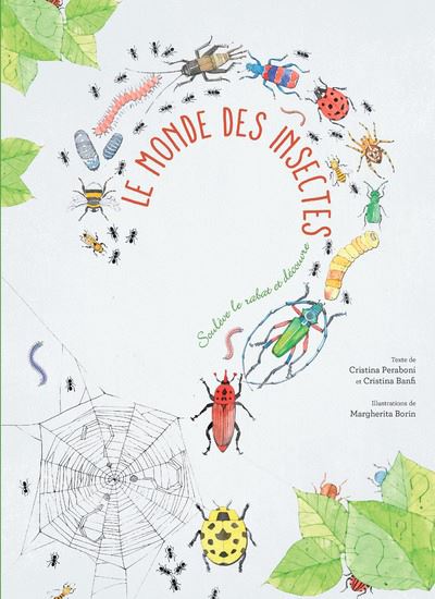 Flip-flap a la decouverte des insectes