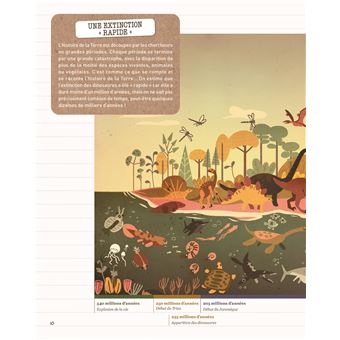 Animaux extraordinaires