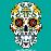 Riem Arrow Mexican Skull
