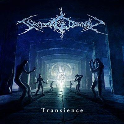 TRANSIENCE/LP