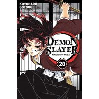 10€ sur Hunter X Hunter Poster Manga Anime - Décoration de la maison 30 x  45 cm - Achat & prix