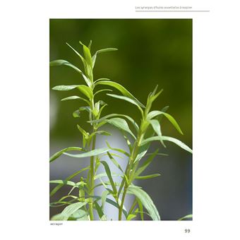 Huiles essentielles à sentir et ressentir