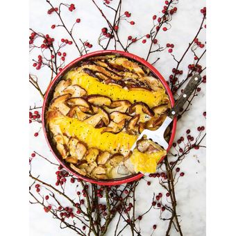 Les 4 saisons du champignon