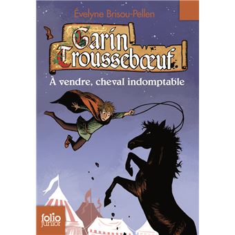 Les Aventures De Garin A Vendre Cheval Indomptable Evelyne Brisou Pellen Nicolas Wintz Poche Achat Livre Fnac
