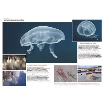 La Nature en bord de mer