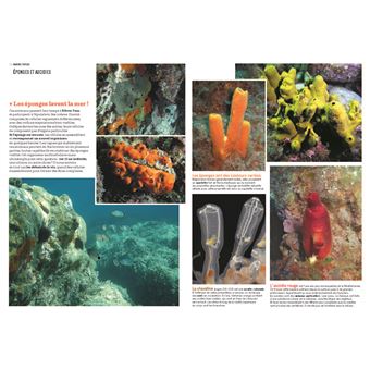 La Nature en bord de mer