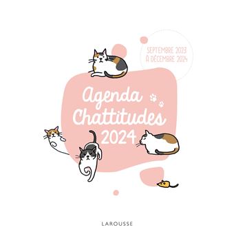 Agenda scolaire diy kawaii 2023-2024 - broché - Collectif - Achat