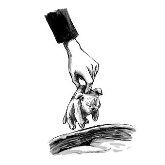 Je ne suis pas un petit ours !