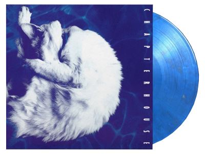 Whirlpool Edition Limitée Vinyle Bleu et Argent