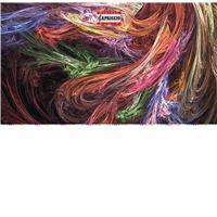 Concerto pour 2 pianos et orchestre Suite sur des thèmes russes