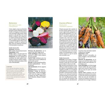Produire des légumes en hiver - même sans abri