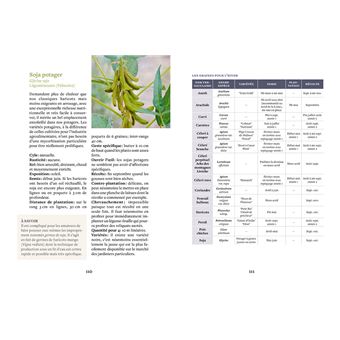 Produire des légumes en hiver - même sans abri