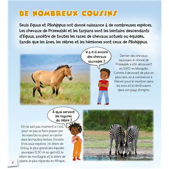 Poneys et chevaux