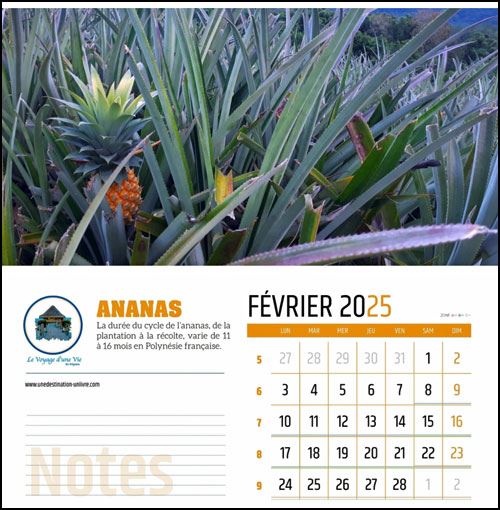 Calendrier Magie 39;Une Année En 12 Paysages Marins (Calendrier Mural 2025 DIN A4 Vertical), CALVENDO Calendrier Calendrier 2025 Vintage