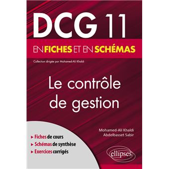 DCG 11 - Le Contrôle De Gestion En Fiches Et En Schémas - Broché ...