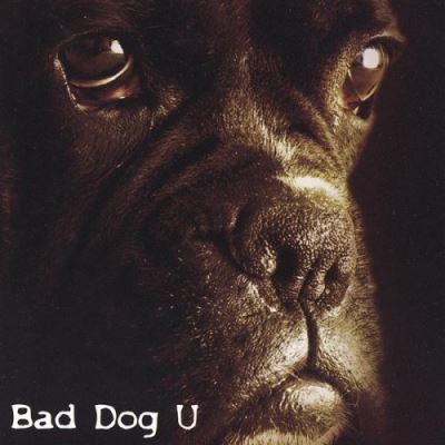 Bad dog u