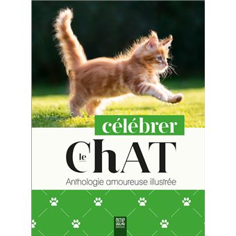 Célébrer le chat