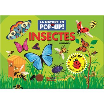 Insectes