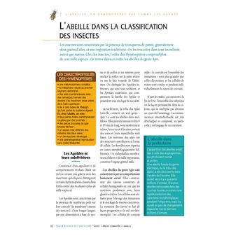 Le traité Rustica de l'apiculture version luxe