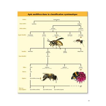 Le traité Rustica de l'apiculture version luxe