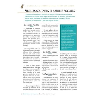 Le traité Rustica de l'apiculture version luxe