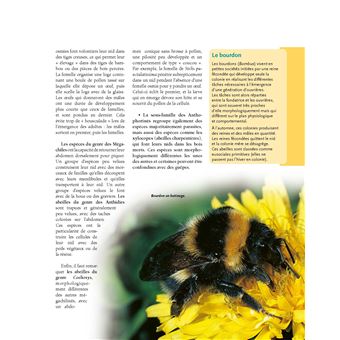 Le traité Rustica de l'apiculture version luxe