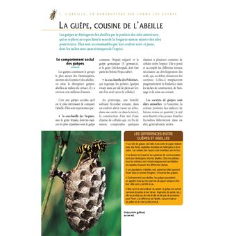 Le traité Rustica de l'apiculture version luxe