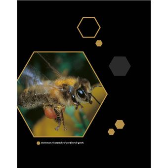 Le traité Rustica de l'apiculture version luxe