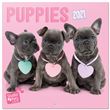 Calendrier 2021 30x30 Studio Pets Puppies