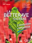 La betterave sucrière