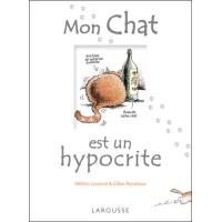 Les Sales Manies Du Chat Hypocrite Broche Gilles Bonotaux Helene Lasserre Achat Livre Fnac