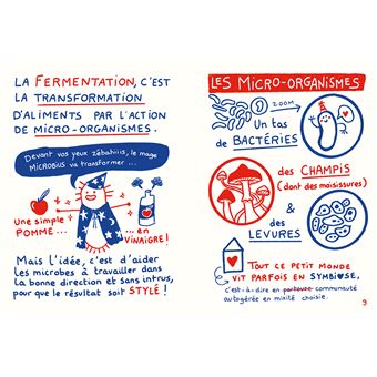 Fermenter presque tout avec presque rien