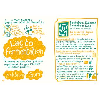 Fermenter presque tout avec presque rien