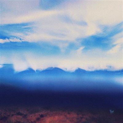 The Living Mountain Vinyle Coloré