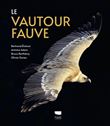 Le Vautour fauve