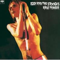 Raw Power Double Vinyle Inclus un livret de 16 pages