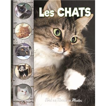 Les chats