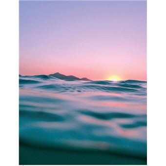 Mieux dans son ventre, mieux dans sa tête