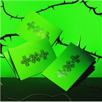 7TH YEAR: A Moment of Stillness in the Thorns (THORN Version) Coffret