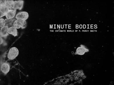 MINUTE BODIES: THE INTIMATE WORLD/2LP