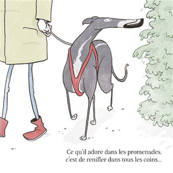 On va se promener ?!