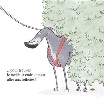 On va se promener ?!