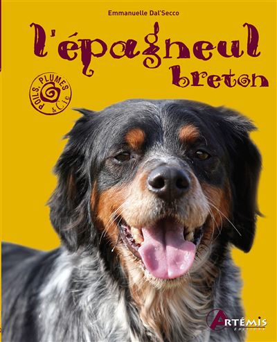L'Epagneul Breton
